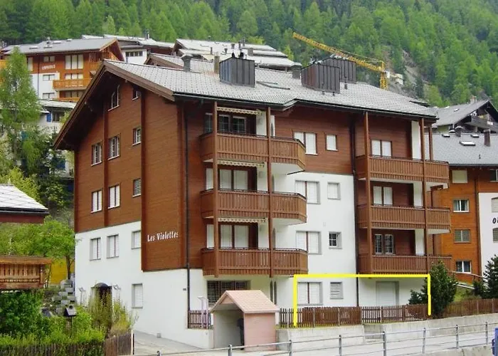 Charming Alpin Violett