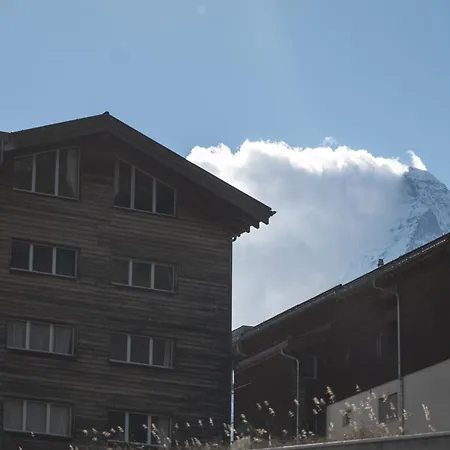 Charming Alpin Violett